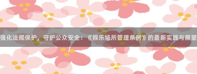 辉达娱乐地址：强化法规保护，守护公众安全：《娱乐场所管理条例》的最新实践与展望