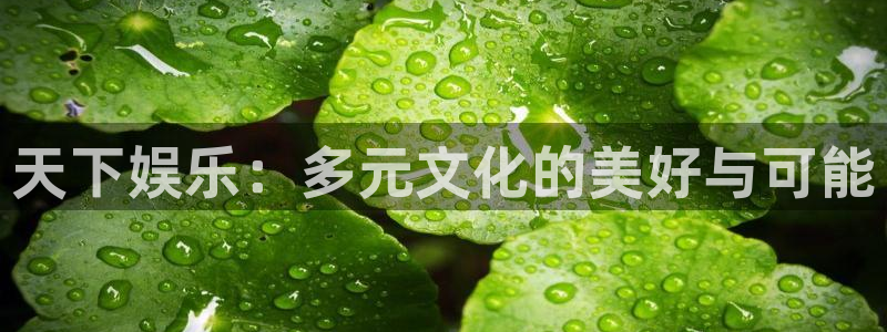 辉达娱乐：天下娱乐：多元文化的美好与可能